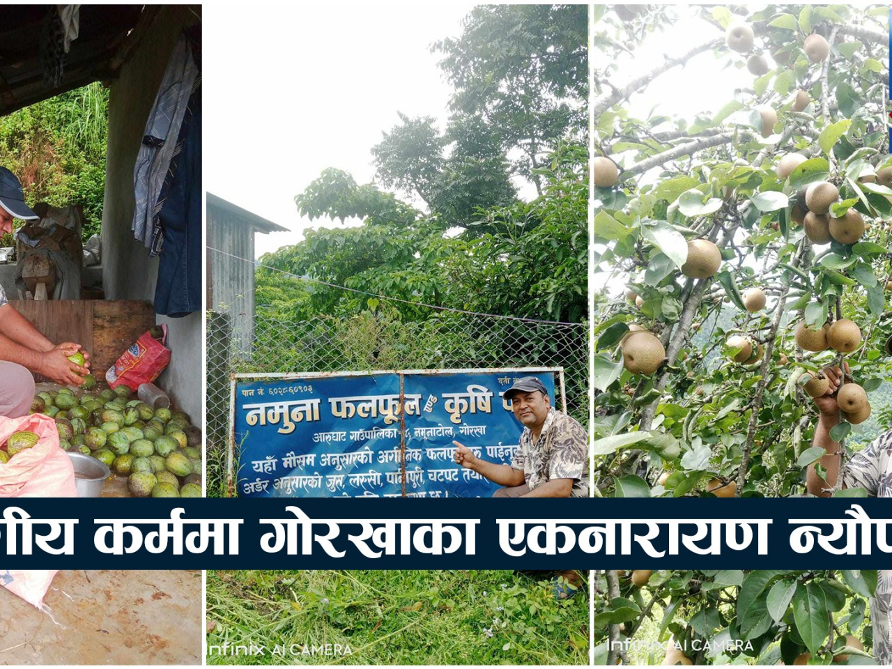 कृषिमार्फत उदारणीय कर्ममा गोरखाका एकनारायण न्यौपाने